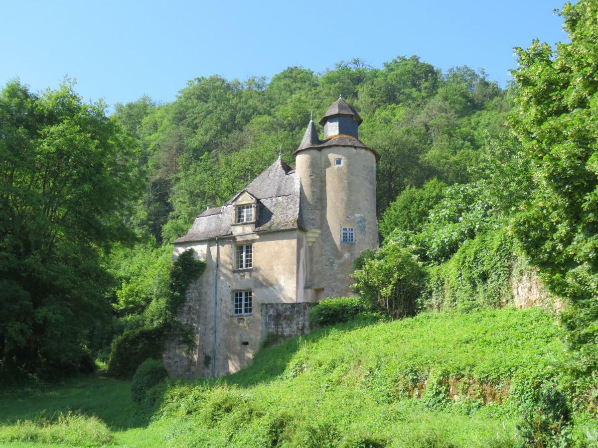 Chateau De Gaubert Bed & Breakfast Terrasson Dış mekan fotoğraf